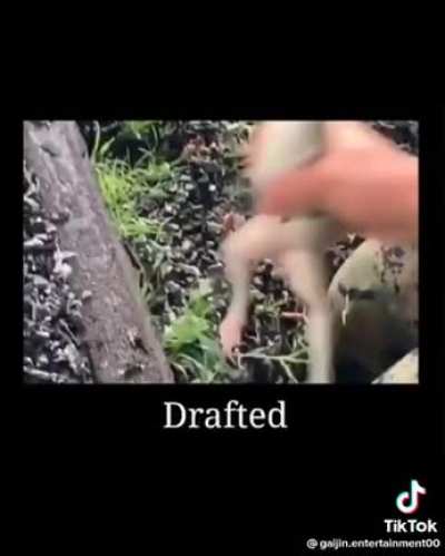 Drafted