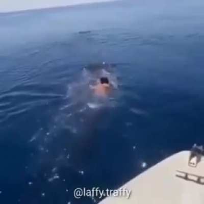 Sua Mãe usou Surf
