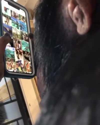 Wait until he discovers r/Monke