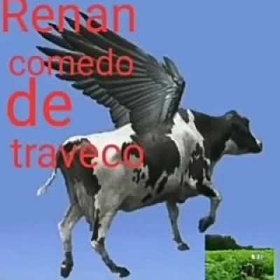 Renan oq significa isso 😳😳😳