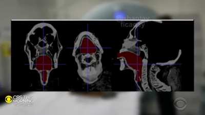 remember when technology gave us the mummy’s voice