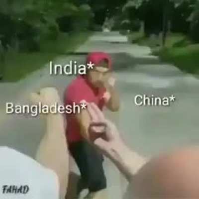 Phattu log