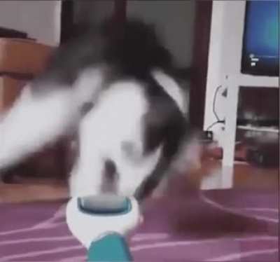 Swing and a miss