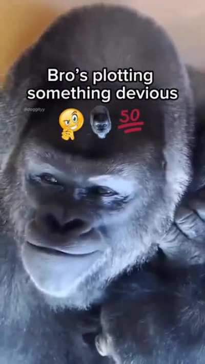 💯