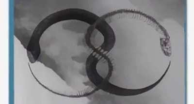 norulesnobans - Video #0445