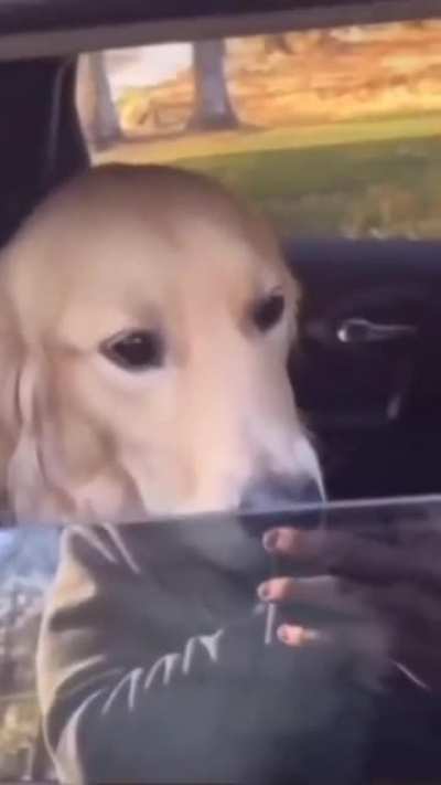All bark, no bite?
