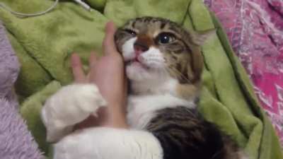 NOOOO! DON'T LEAVE ME! PLEASE I BEG YOU!