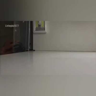 Seems like an appropiate reaction