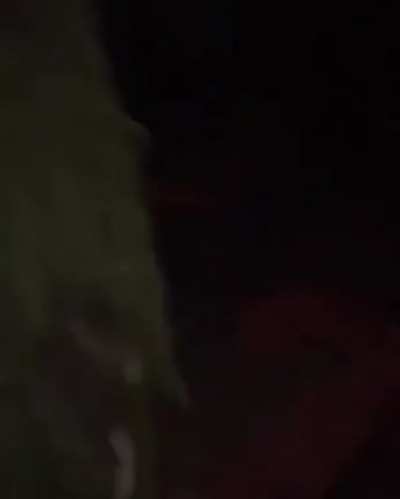 XXXTENTACION Fight 2015 (leak by sademon#5581)