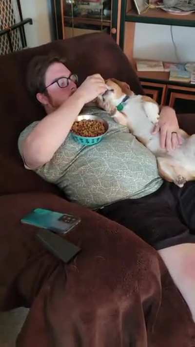 Gem got attacked by another dog today so dad thought he'd spoil her by cuddling and hand feeding.