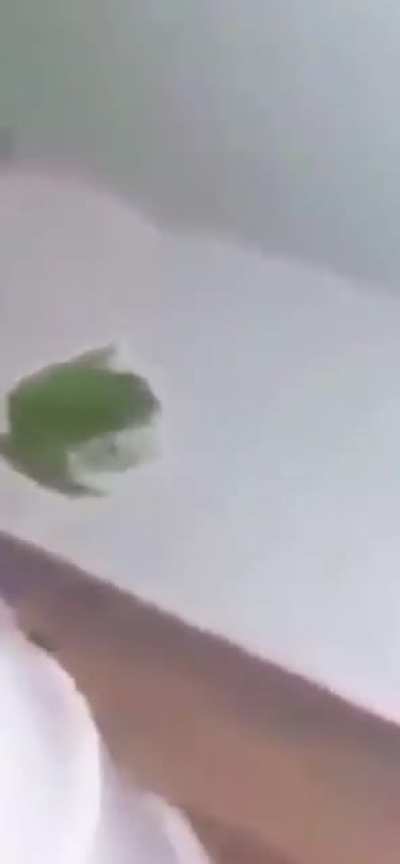 Æ