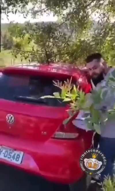 Buzinomen