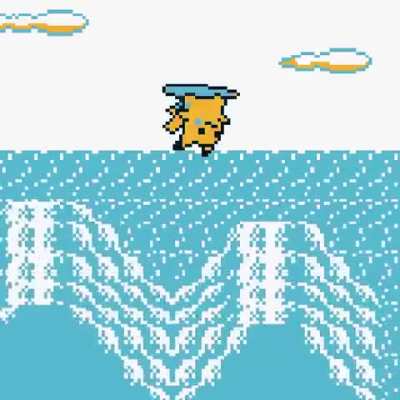 He do a flip