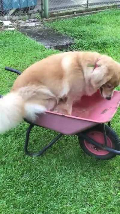 Well it ain’t gonna push itself