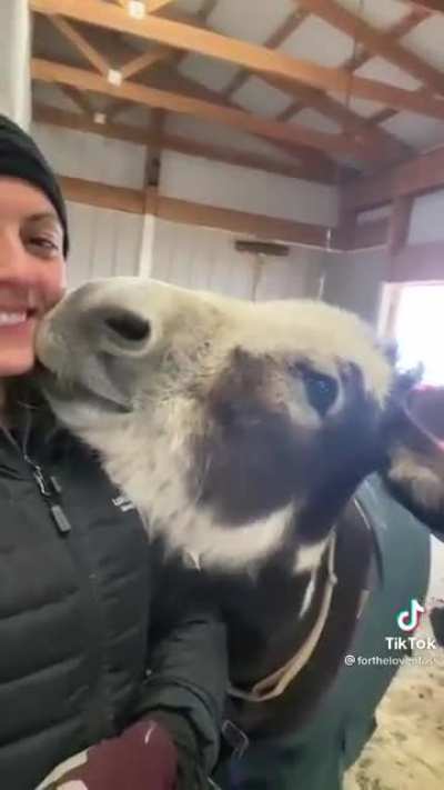 Gimme a kith...