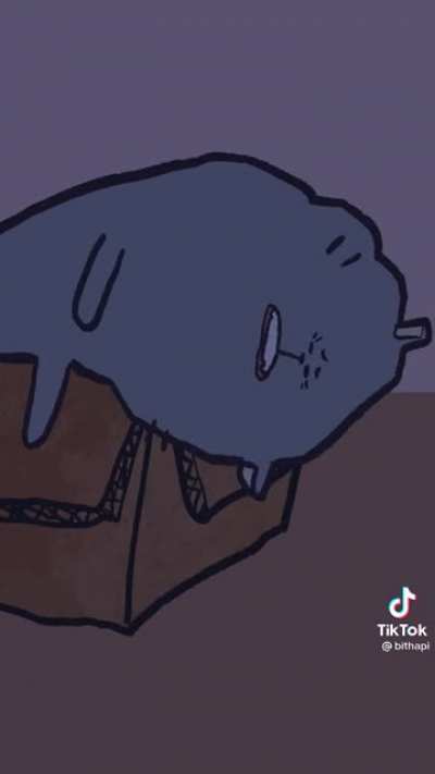 3 AM