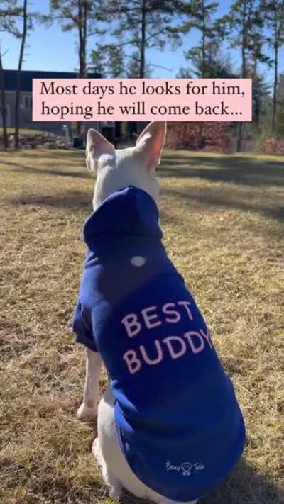 Best friends for ever!