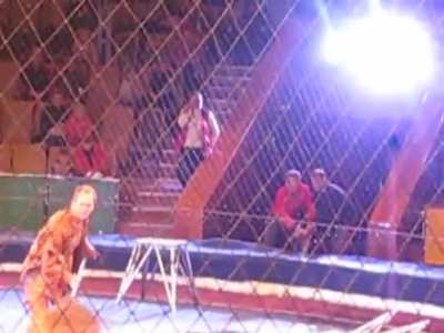 The lion, considered the king of the jungle, retaliates against being forced to perform without payment.