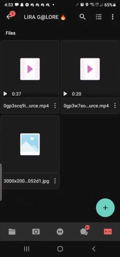 this wat the 25$ tier folder look like u get this folder plus the main folder where the daily updates go down at