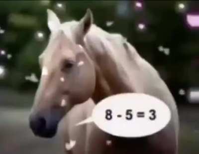 The horses told the truth in this video.