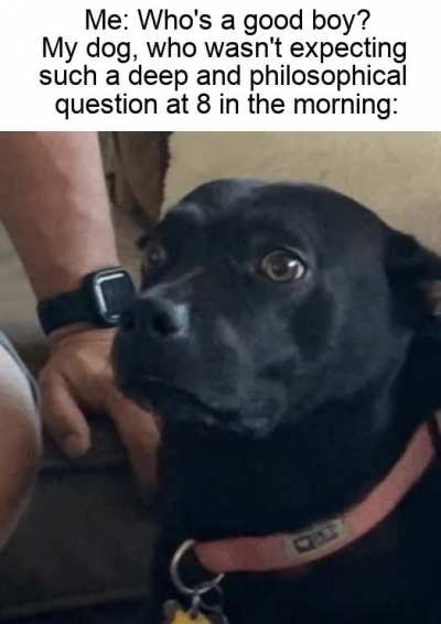 How is a good boy?