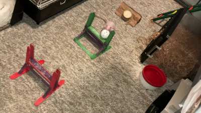 My awesome and aerodynamic pet rat Feta is learning flyball - ratty style!