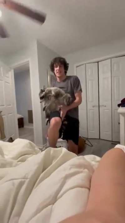 Who else wants a pet raccoon