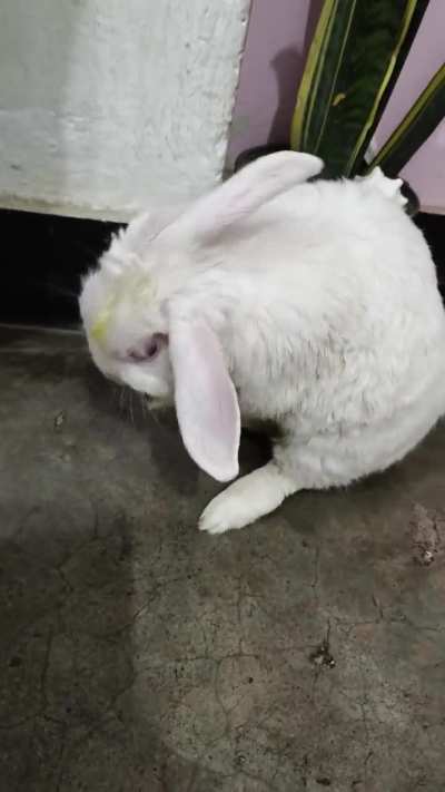 His name is Gosu