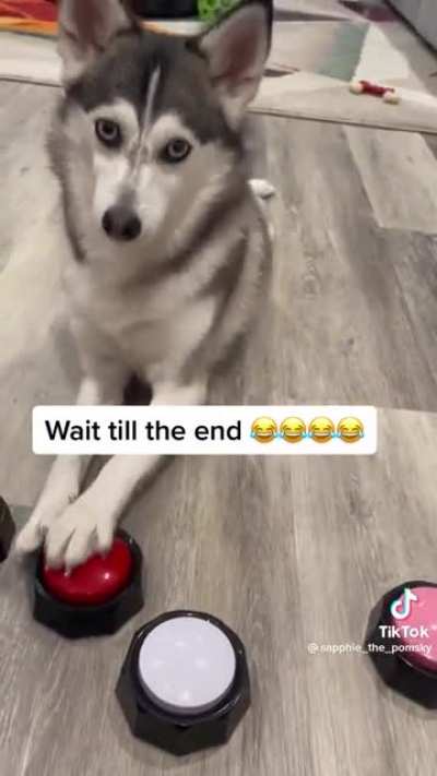 Give them a damn treat b-tch