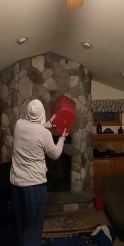 Adventures in bat removal