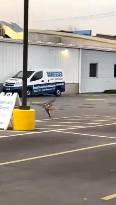 Just when you thought the job is done …