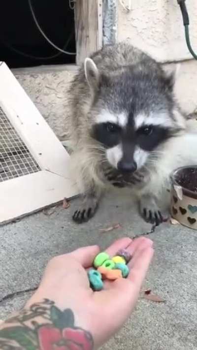 Soothing munching on fake food