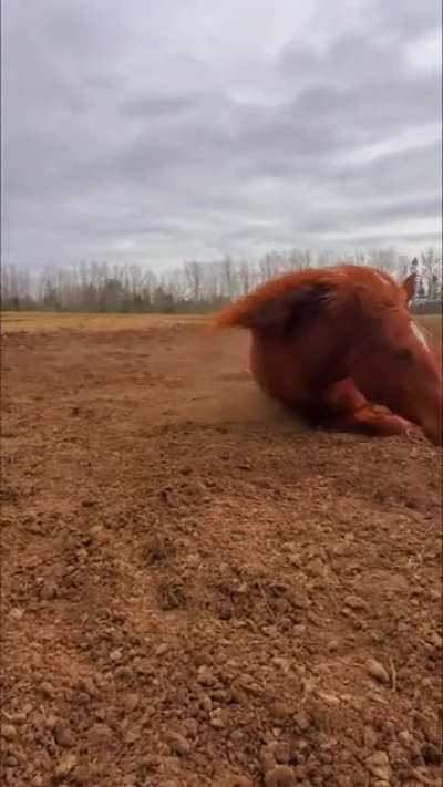 Post ride rolls