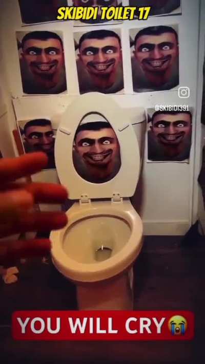 ONLY TRUE SIGMAS GOT THEIR SKIBIDI TOILET LIKE THIS 🗿🗿🍷🍷🍷