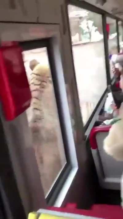 Bear got it moves