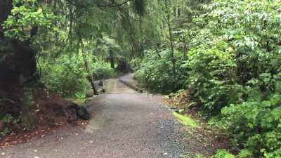 Just a downpour to keep things green