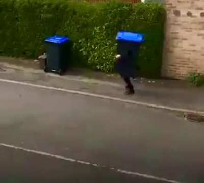 Trash removal.