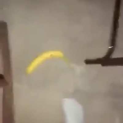 shitpost