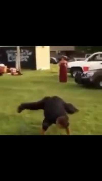 GET DOWN!!!