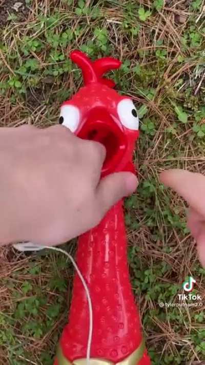 AAAAAAAAAAAAAAAAAAAA