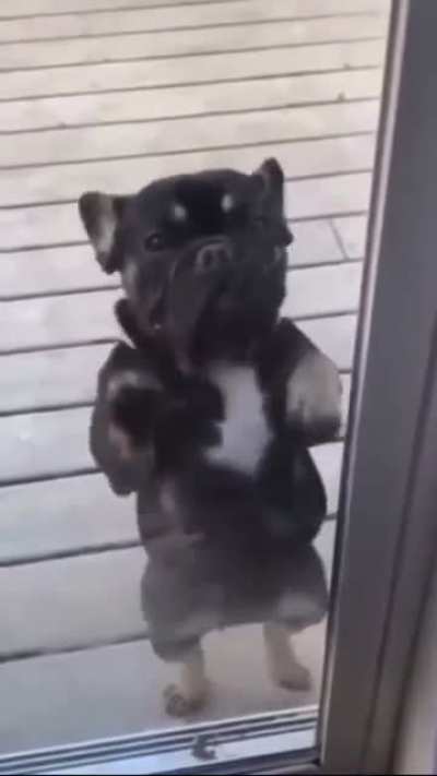 Let me in Linda!