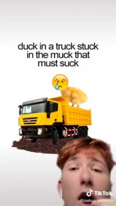 That duck dont give a fuuu....