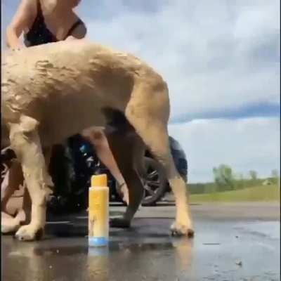 mbb 