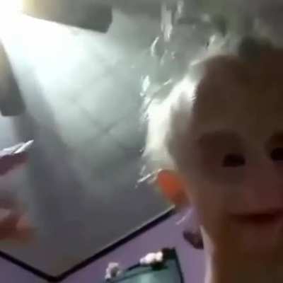 Esta pal añañin 😤🖕