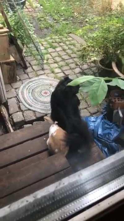 I don’t think he was expecting this...
