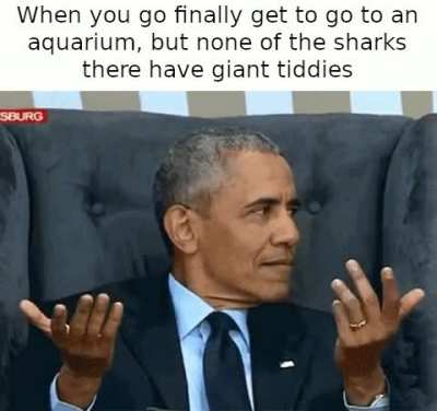 Sharks_irl