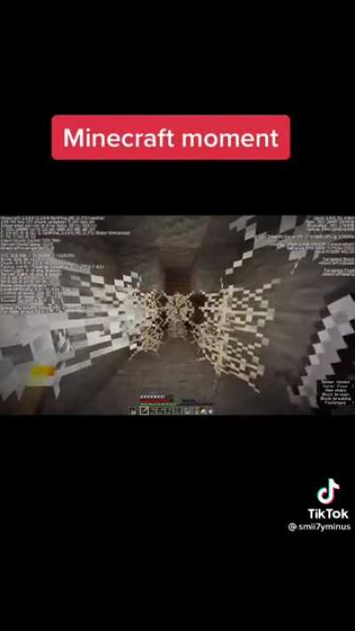 Minecraft Tips