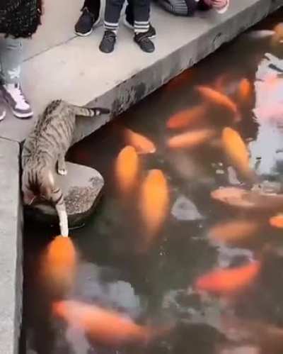 Her fishy