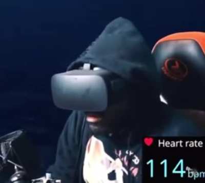 Poiised playing Siren Head VR