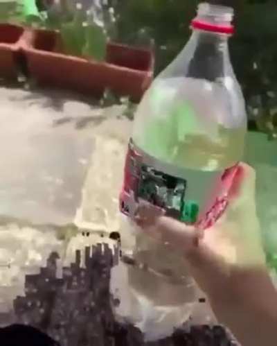 Sorry for the trip mates